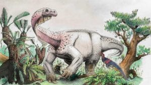 Zagonetne rupe na lobanji tiranosaurusa