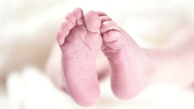 Zakon o nestalim bebama – umesto odgovora, otvorena nova pitanja