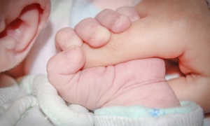 Zakon o nestalim bebama već posle izbora?