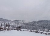 Zapadna Srbija okovana; palo 30 santimentara snega FOTO