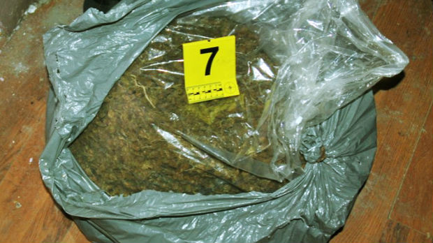 Zaplena marihuane u Novom Sadu, uhapšen osumnjičeni