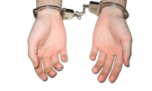 Zaplenili više vrsta narkotika: Policija uhapsila muškarca u Staroj Pazovi