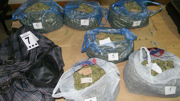 Zaplenjeno tri kilograma marihuane, uhapšena jedna osoba
