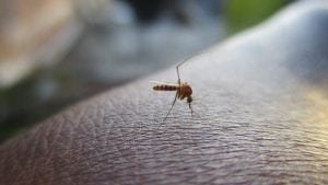 Zaprašivanje zbog najezde komaraca u Prokuplju