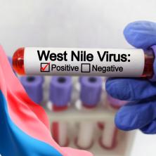 Zaraženi komarci nose smrtonosan virus: Kreće uskoro najezda, poslata hitna poruka za sve građane Srbije