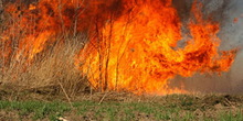 Požari u Žarkovu i na Adi Huji
