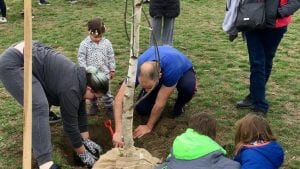 Zasađena stabla na Ušću (VIDEO)