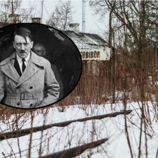 Zasađena šuma da prikrije tragove: Posle osam godina istraživanja, otkrivena jeziva Hitlerova tajna (FOTO)