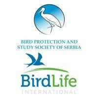 Zaštita divljih ptica i ljudi od virusa (AUDIO)