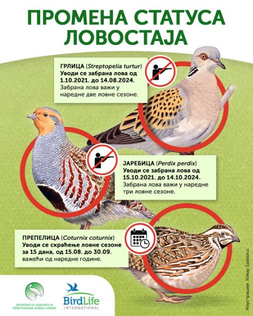 Zaštita ptica selica: Privremena zabrana lova na grlicu, jarebicu i prepelicu