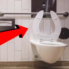 Zašto je daska na šolji u nekim javnim toaletima u obliku SLOVA U? Postoje važni RAZLOZI! (VIDEO)