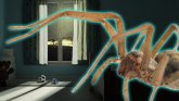 Zašto paukovi opsednuti seksom upadaju u kuće