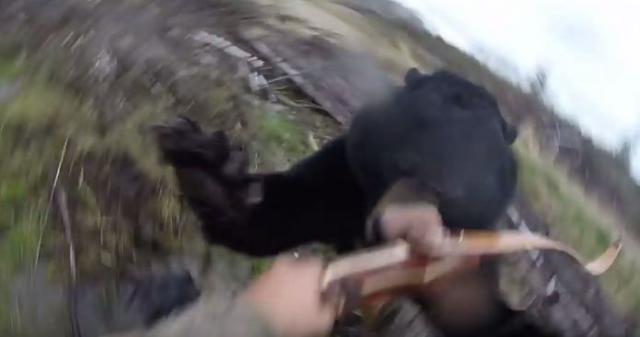 Zastrašujući video: Pogledajte kako medved napada lovca