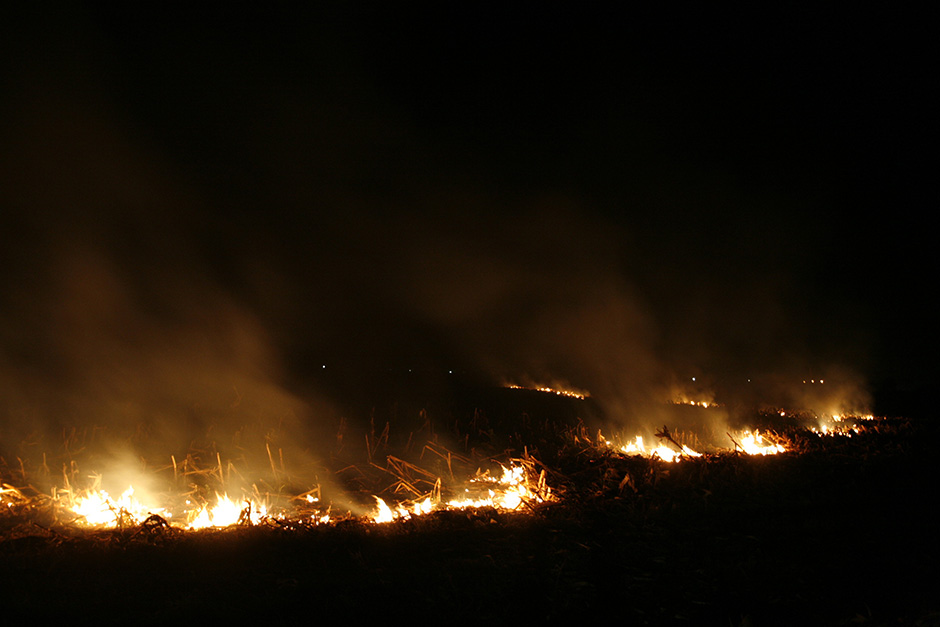 Zaustavljeno širenje požara na Pelješcu