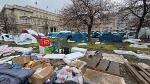 Zavod za zaštitu prirode za N1: Nismo izvršili stručni nadzor Pionirskog parka, a ni dobili izveštaje inspekcije
