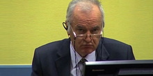 Završen dokazni postupak odbrane Ratka Mladića