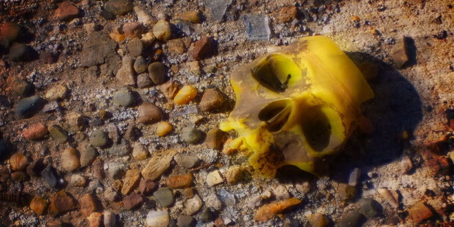 Završena ekshumacija 15 žrtava Oluje, sledi identifikacija