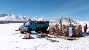 Zbog ekstremne hladnoće u Mongoliji uginulo skoro pet miliona grla stoke