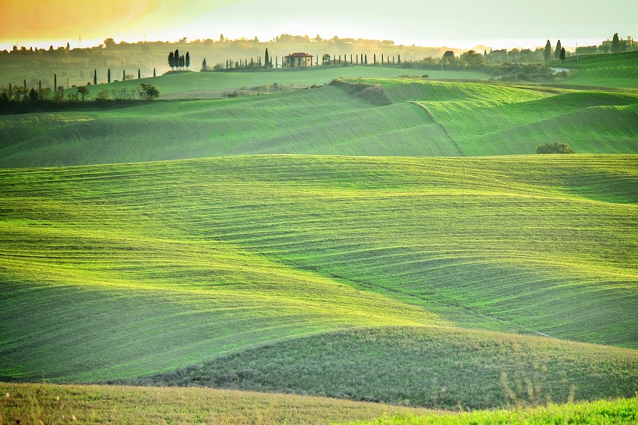 Zbog klime veliki gubici u italijanskoj poljoprivredi