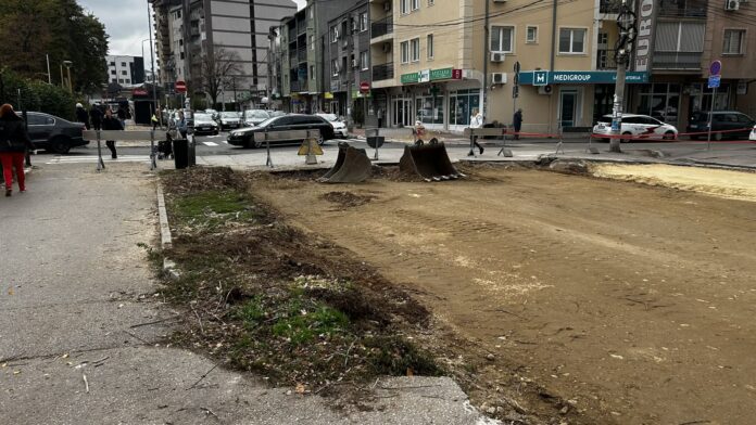 Zbog radova na drugoj deonici Vojvode Tankosića u Nišu stabla iščupana iz korena