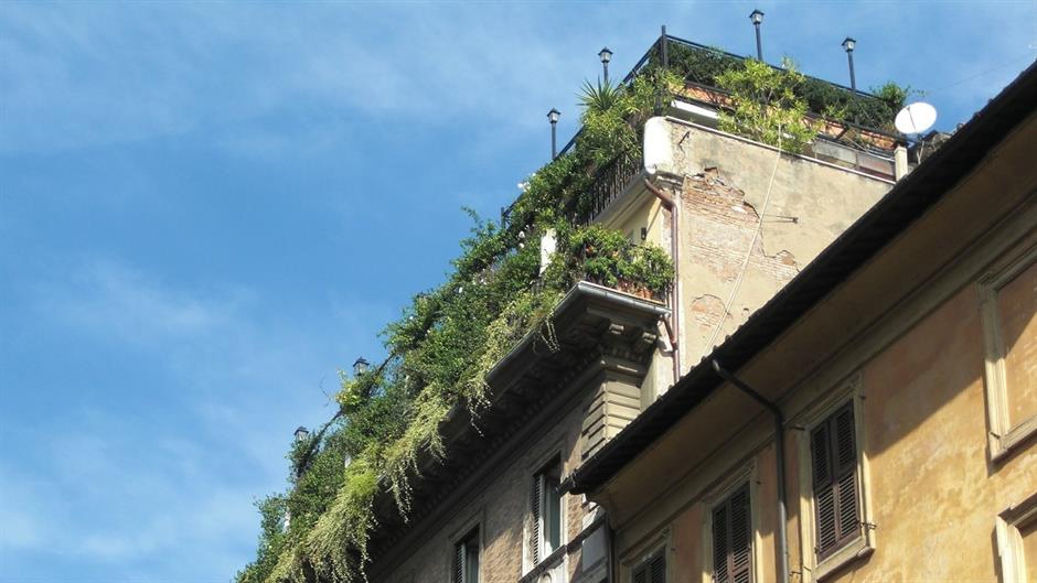Zeleni zidovi i krovovi umesto klima uređaja