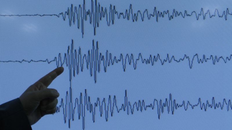 Zemljotres pogodio pacifičku obalu Meksika