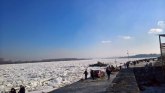 Zemunac skočio u ledeni Dunav da spase psa FOTO