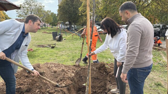 Žene koje se bore sa rakom dojke u Nišu zasadile drveće za one koje se leče i za one koje više nisu tu