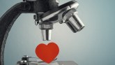 Žene, muškarci i ljubav: Uparivanje preko DNK - može li nauka da nam pomogne u ljubavi