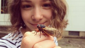 Životinje: Invazija insekata na Ameriku – milijarde periodičnih cikada iz Legla broj deset