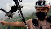Životinje i ekstremni sportovi: Kako je lešinar Uru postao partner za paraglajding ekologu iz Brazila