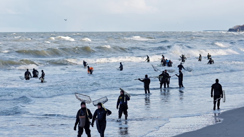 Zlatna oluja izbacila ćilibar na rusku plažu

