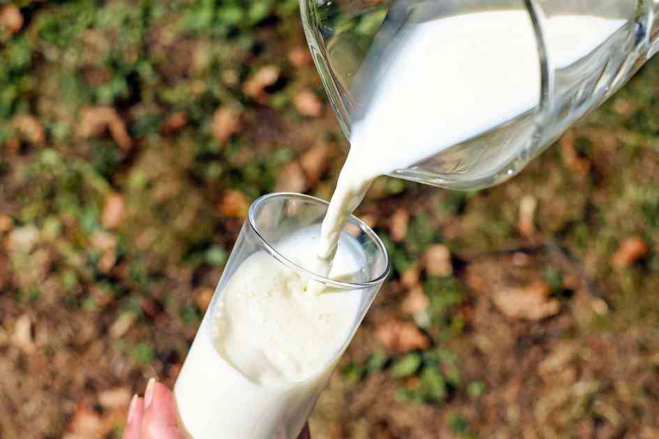 Značajna odluka o izvozu svih vrsta mlijeka i mliječnih proizvoda