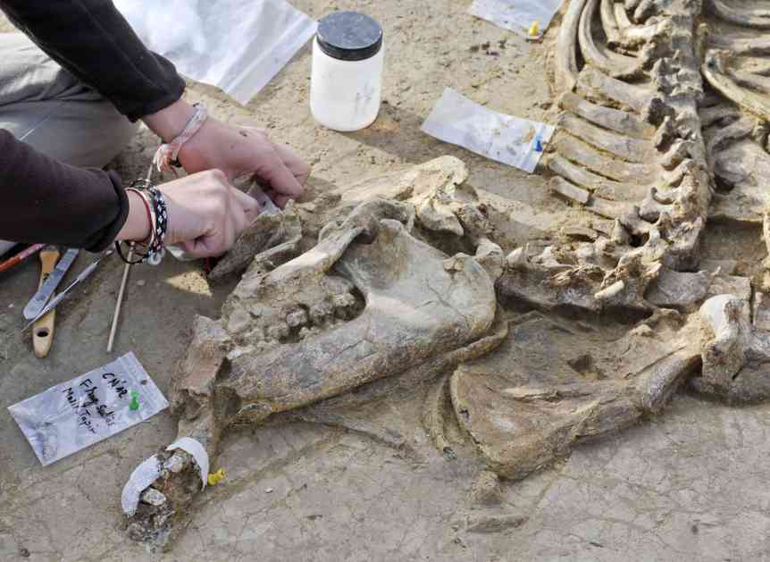 Značajno otkriće fosilnih ostataka srodnika sisara i beba