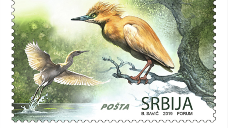 Žuta čaplja iz Srbije u izboru za najlepšu poštansku markicu Evrope
