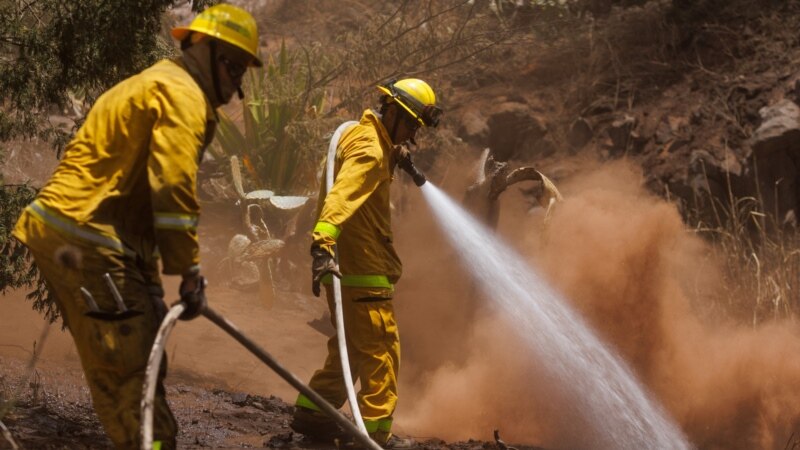 Najmanje 99 žrtava požara na Havajima, potraga i dalje traje, identifikacija otežana