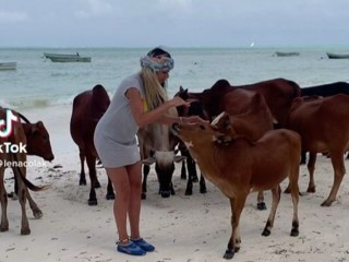 Zvezdu Granda udarila krava na plaži na Zanzibaru
