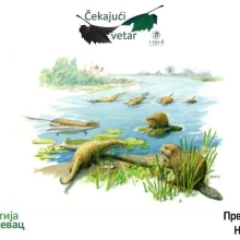 cekajuci vetar, 17. 8. 2025.