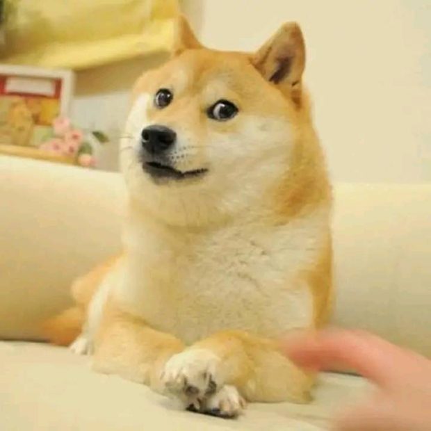 Умро пас Кабосу са познатог мима „doge“ и криптовалуте „Dogecoin“