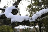 Temperatura pada, Jagodina proizvodi sneg