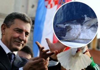 GENERAL DOMOLJUB SADA MULJA SA UVOZOM RIBE U HRVATSKU Zadarski odbornik teško optužuje Antu Gotovinu! Nepravilnosti potvrdila i EU