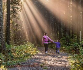 Planinarenje Fruškom gorom i ovog vikenda